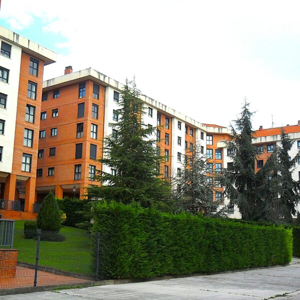 24C